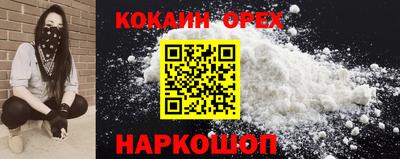 стаф Будённовск