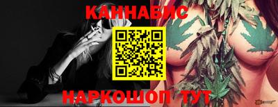 стаф Будённовск
