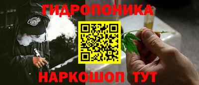 стаф Будённовск